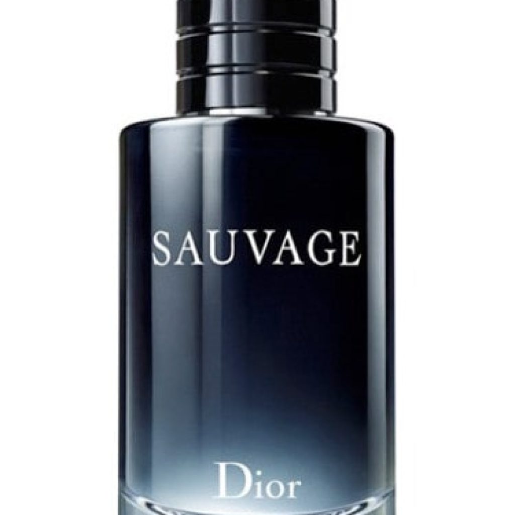 دیور ساوج (کریستین دیور ساواج) - Sauvage Dior for men
